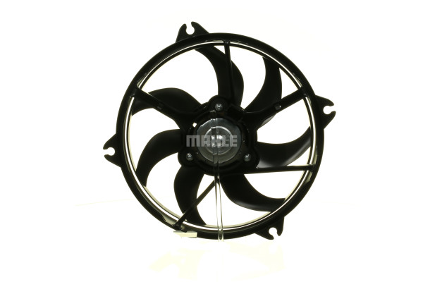 Fan, engine cooling - CFF318000S MAHLE - 1250.G0, 1250G0, 0503.2007